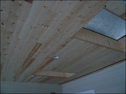 Covered Patio With Skylights