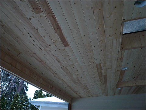Covered Patio With Skylights